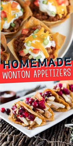 homemade wonton appetizers with text overlay