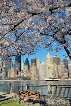 a wooden bench sitting under cherry blossom trees in front of a large cityscape