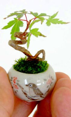 a hand holding a small white vase with a tree growing out of it's side