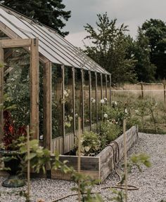 there is a small greenhouse with plants growing in it