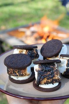 there are cookies and ice cream sandwiches on the plate next to an open fire pit