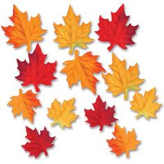 many different colored leaves on a white background