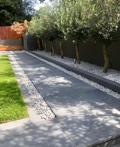 an outdoor garden with trees and gravel