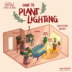 an illustrated guide to plant lighting in a living room with potted plants on the wall