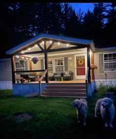 two dogs standing in front of a house at night with lights on the porch and deck