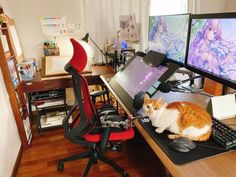 an orange and white cat sitting on top of a computer desk