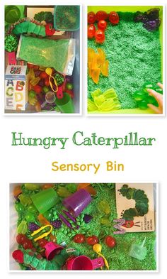 the hungry caterpillarr is an easy and fun activity for toddlers