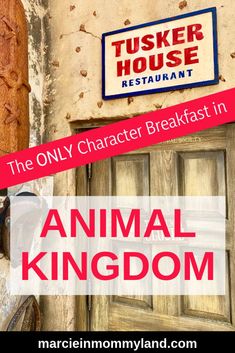 the only character breakfast in animal kingdom