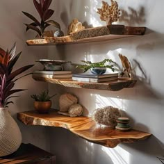 three wooden shelves with plants and books on them in a room next to a wall