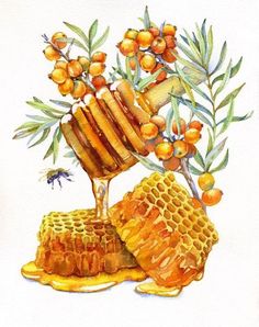 watercolor painting of honey and oranges