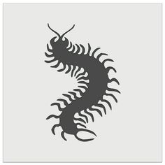 a black and white image of a scorpion on a gray background with the word scorpion written in it