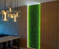 a room that has some lights hanging from the ceiling and green grass on the wall