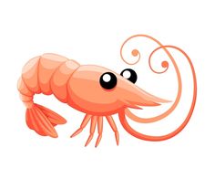 an orange shrimp with black eyes on it's head and tail, standing in front of a white background