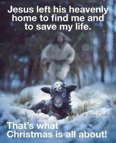 a sheep laying in the snow next to a man with a cross on his head