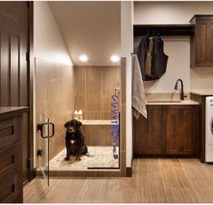 a dog is sitting in the bathroom next to the washer and dryer