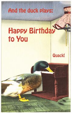 there is a duck that is sitting on the floor and happy birthday to you card