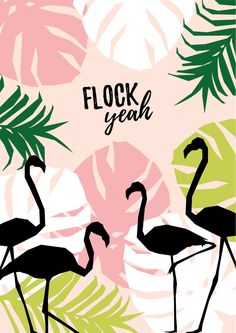 two flamingos standing next to each other on a pink and green background with palm leaves