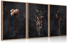 PRICES MAY VARY. Moody Dark Floral Wall Art : This floral wall art, showcasing three wilted Floral Print set against a dark backdrop, exudes a simplicity that's both elegant and substantial. Its understated design makes it a versatile piece for home decor or as a thoughtful and stylish gift for a friend Minimalist Black Wildflower Wall Decor Pictures : Elevate your space with this minimalist wildflower wall decor with its dark elements set against elegant hues. Whether you're looking to adorn a Wildflower Wall, Bed Wall Decor, Moody Decor, Stil Rustic, Flower Canvas Wall Art, Floral Wall Art Canvases, Botanical Decor, Wall Decor Pictures, Canvas Wall Art Set