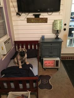 a pug dog sitting on top of a bed in front of a flat screen tv