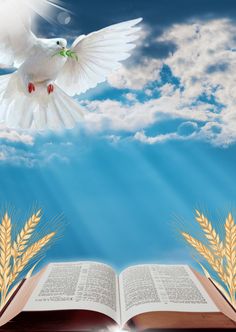 an open book with a white dove flying over it and wheat stalks in the foreground