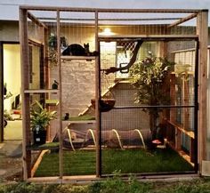 a caged in area with grass and plants on the ground, outside at night