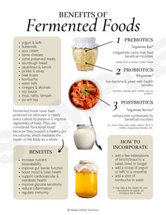 the benefits of fermented foods for your body and health needs info poster