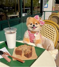 a small dog sitting at a table in front of a piece of cake and coffee