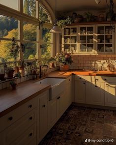 a kitchen filled with lots of windows next to a sink and counter top covered in potted plants