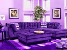 a living room with purple furniture and pictures on the wall above it's windows