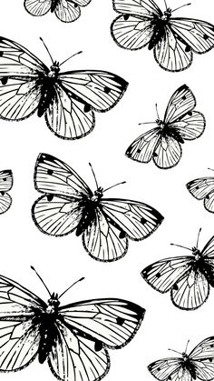 black and white butterflies flying in the air with their wings spread out to look like they are