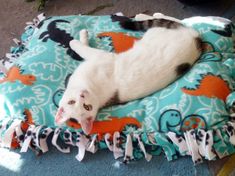 a white cat laying on top of a blue and orange blanket next to a potted plant