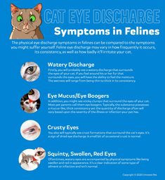 an info sheet describing the different types of cat eye discharges and how to use them