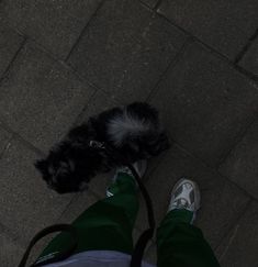 a small black dog standing on top of a person's feet next to a leash