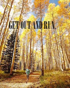 a person walking down a dirt road in the middle of a forest filled with yellow trees