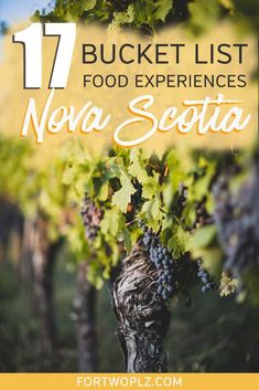 the words 17 bucket list food experiences neva scotta in front of some grapes