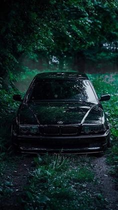 a black car parked in the middle of a forest with trees and grass around it