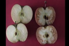 four pieces of an apple sitting next to each other on a red surface with one cut in half