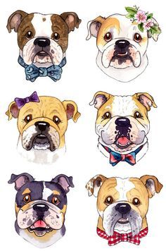 four different types of dogs wearing bow ties