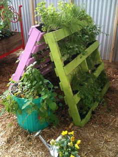 an assortment of plants are growing in a wooden planter on the side of a building