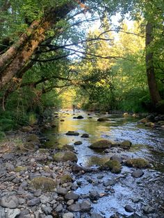 a man standing in the middle of a river surrounded by rocks and trees with water running through it