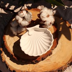 a white shell shaped dish sitting on top of a piece of wood next to cotton