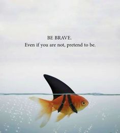 a goldfish in the water with a quote above it that reads be brave even if you are not, pretend to be