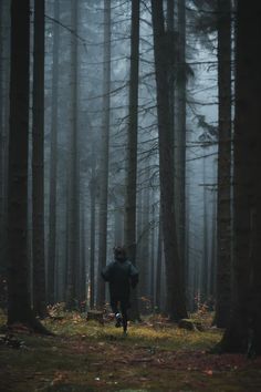 a person running through the woods on a foggy day