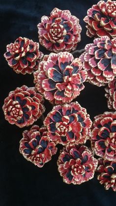 red and blue flowers are arranged on a black background