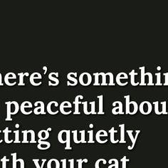 there's something so peaceful about acting quietly with your cat