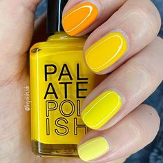 I love yellows for summer ☀ 🌞 from pointer to pinky: @oliveave_polish pumpkin (an amazing light orange), @palatepolish yolk (a pretty orange tinted yellow), @zoyanailpolish pippa (a true bright yellow), and @klpolish Gemini (a pretty lighter yellow). Which is your fav?! Pretty Orange, Pretty Lights, Dark Yellow