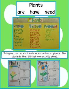 Free activity sheet and labelsPlants are/have/need brainstorming beforeduringafter narcissus bulb unit Plants Activity, Plant Lessons, Tree Map, Thinking Maps, Plant Study