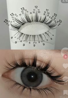 Facial Tips, Perfect Eyelashes, Doll Eye Makeup, Pretty Lashes, Eyelash Extentions