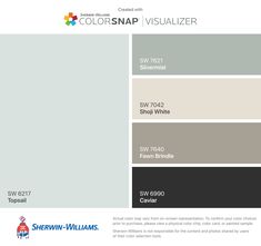 the color scheme for colorsnap visualizer is shown in gray, black and white