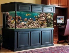 a fish tank sitting on top of a desk next to a computer